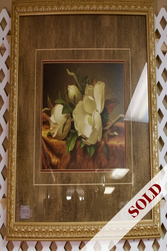 Magnolia print in gilt frame