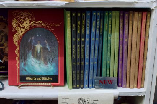 The Enchanted World 21 book set