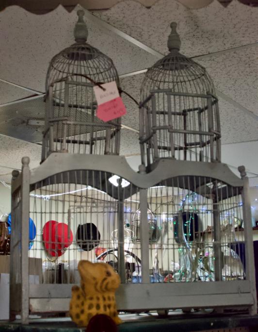 Bird cage
