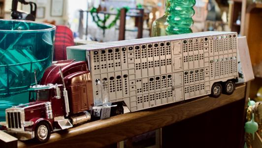 Peterbilt truck & tractor