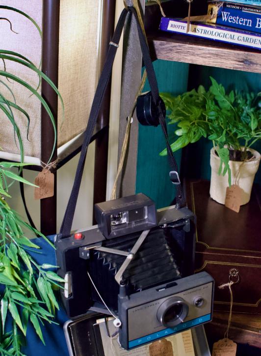 Vintage Polaroid Auto 210 Land camera