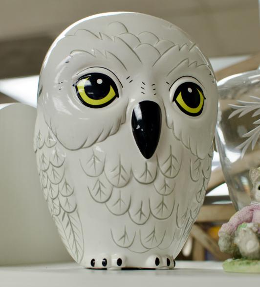 Hedwig bank - owl