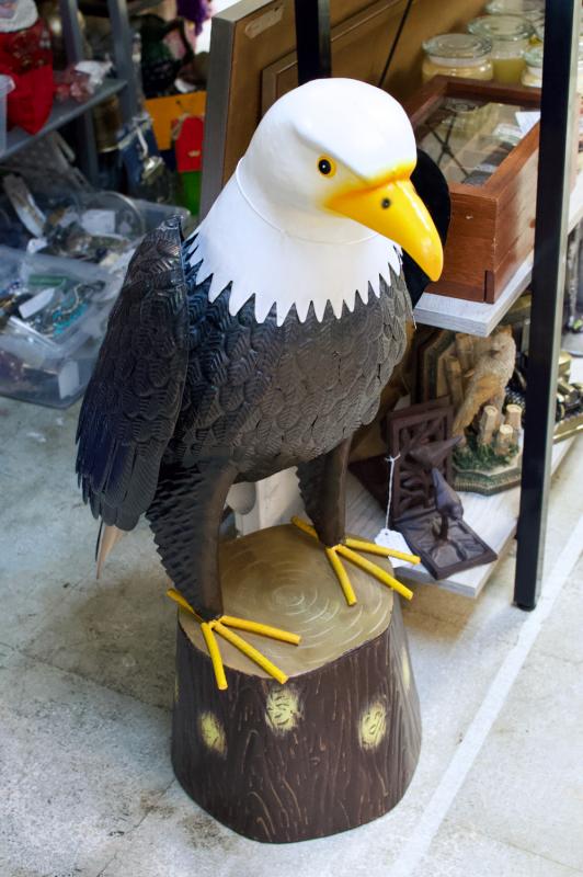 Large eagle