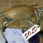 thumbnail item